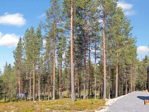 Un bosque con altos pinos y un camino de grava que lleva a una estructura de madera.