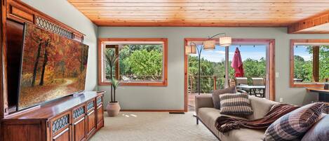 Smart TV, fireplace, books