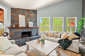 Smart TV, fireplace, books