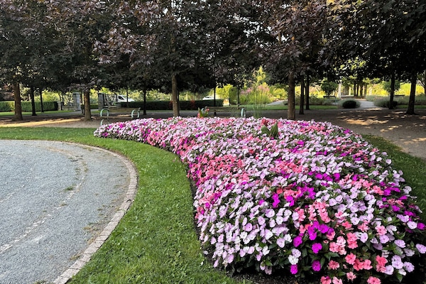 Terrein van de accommodatie