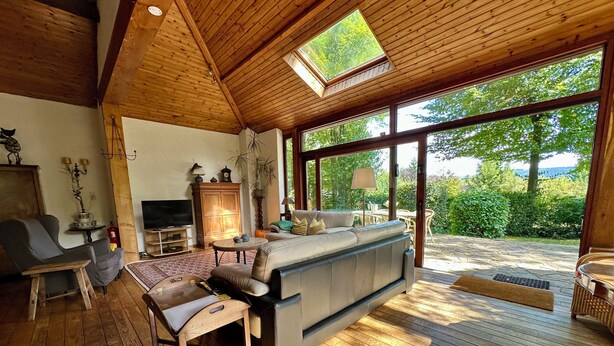 A spacious living room with a wooden ceiling, large windows, a sofa, a television, and a fireplace. - An oasis of tranquility in the heart of nature (Rendeux)