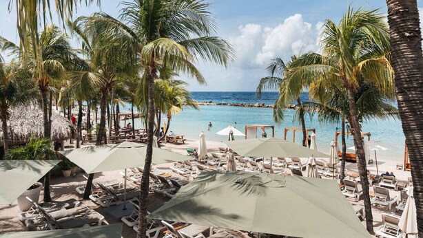 Un complexe hôtelier de bord de mer avec des chaises longues et des parasols, des palmiers et une vue sur l’océan.
