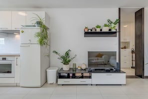 公寓 | 起居区 | 电视