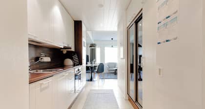 Cozy 1BR Apt with Sauna at Levi Centre