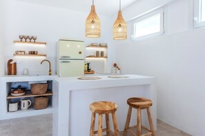 Fridge, oven, stovetop, coffee/tea maker