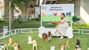 A sign welcoming visitors to BMA Dog Park with a woman sitting on a bench surrounded by various dogs. - SK Village (Bangkok)