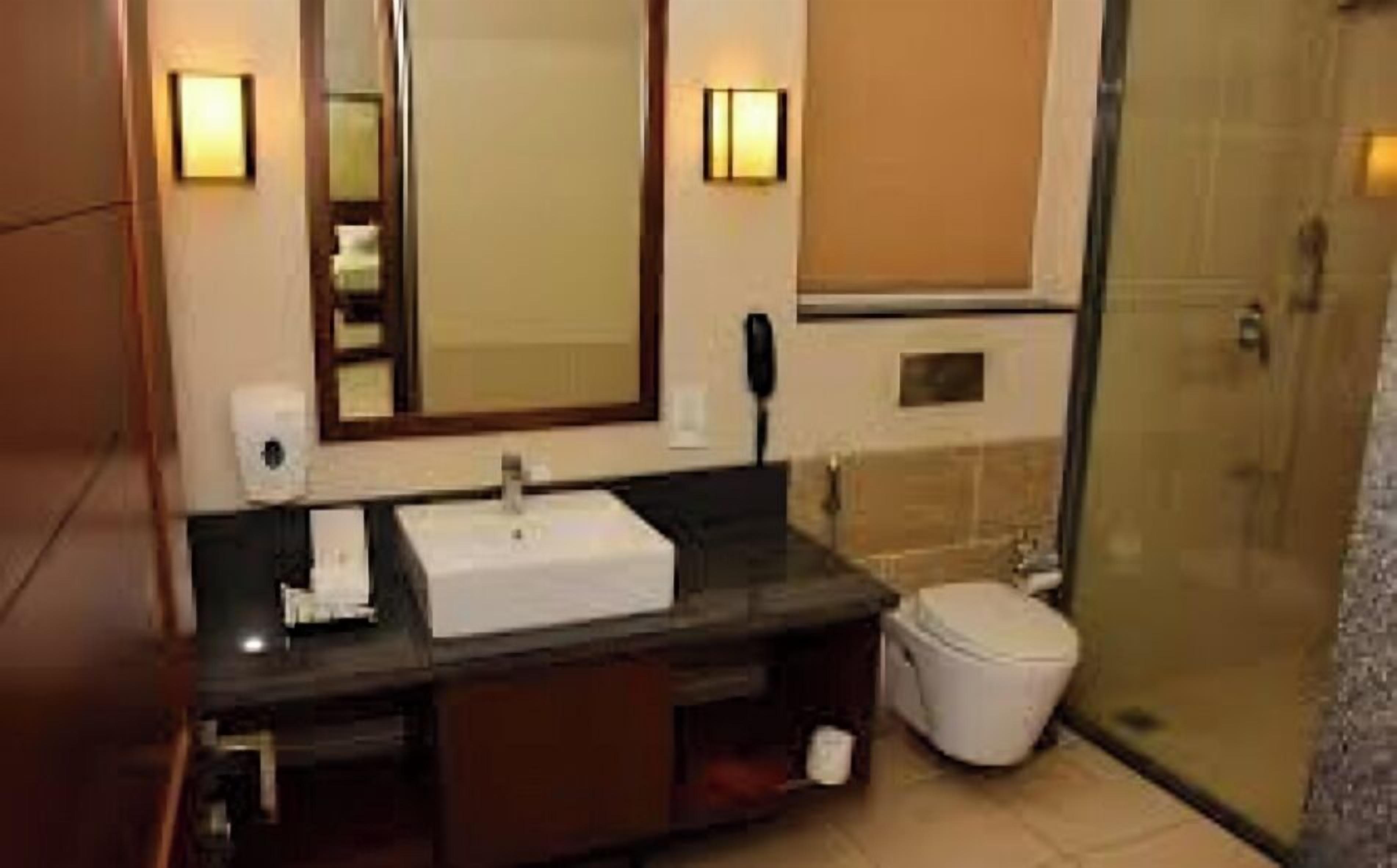 Phòng đôi hoặc 2 giường đơn Premier, ban công, quang cảnh vườn | Phòng tắm