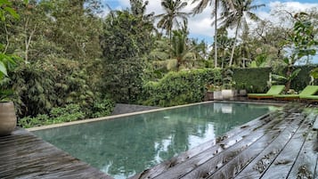 Outdoor pool, pool loungers