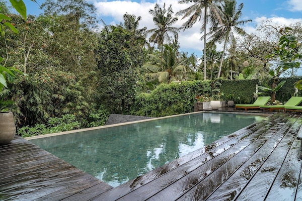 Una piscina al aire libre, sillones reclinables de piscina