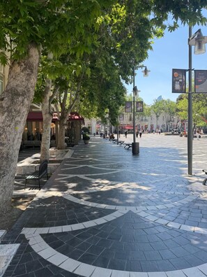 A paved pedestrian area with benches, trees, and a building in the background.