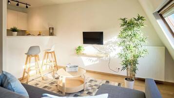 Fernseher, Arbeitsbereiche