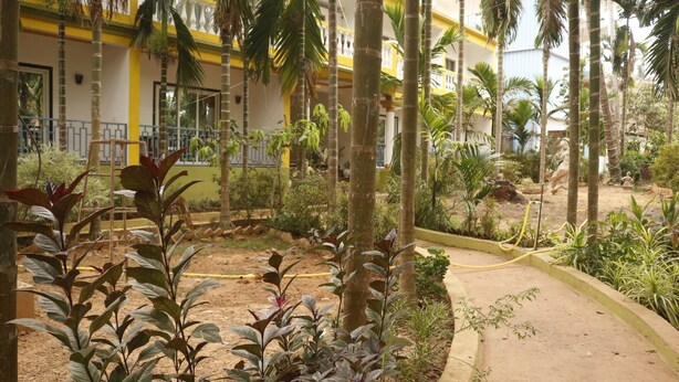 Un patio con palmeras, un edificio amarillo y un jardín.