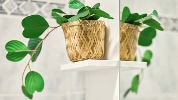 Douche, sèche-cheveux