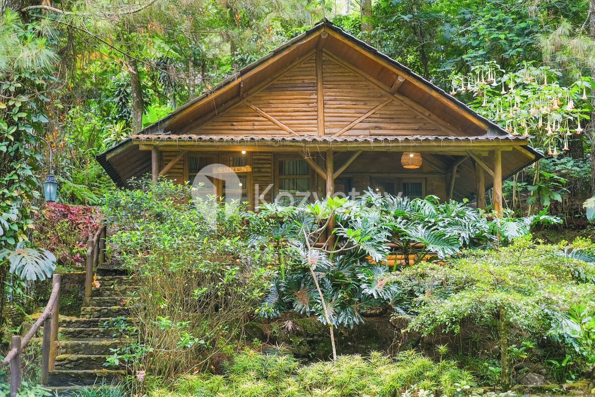A wooden cabin surrounded by lush greenery and a stone staircase leading up to it.