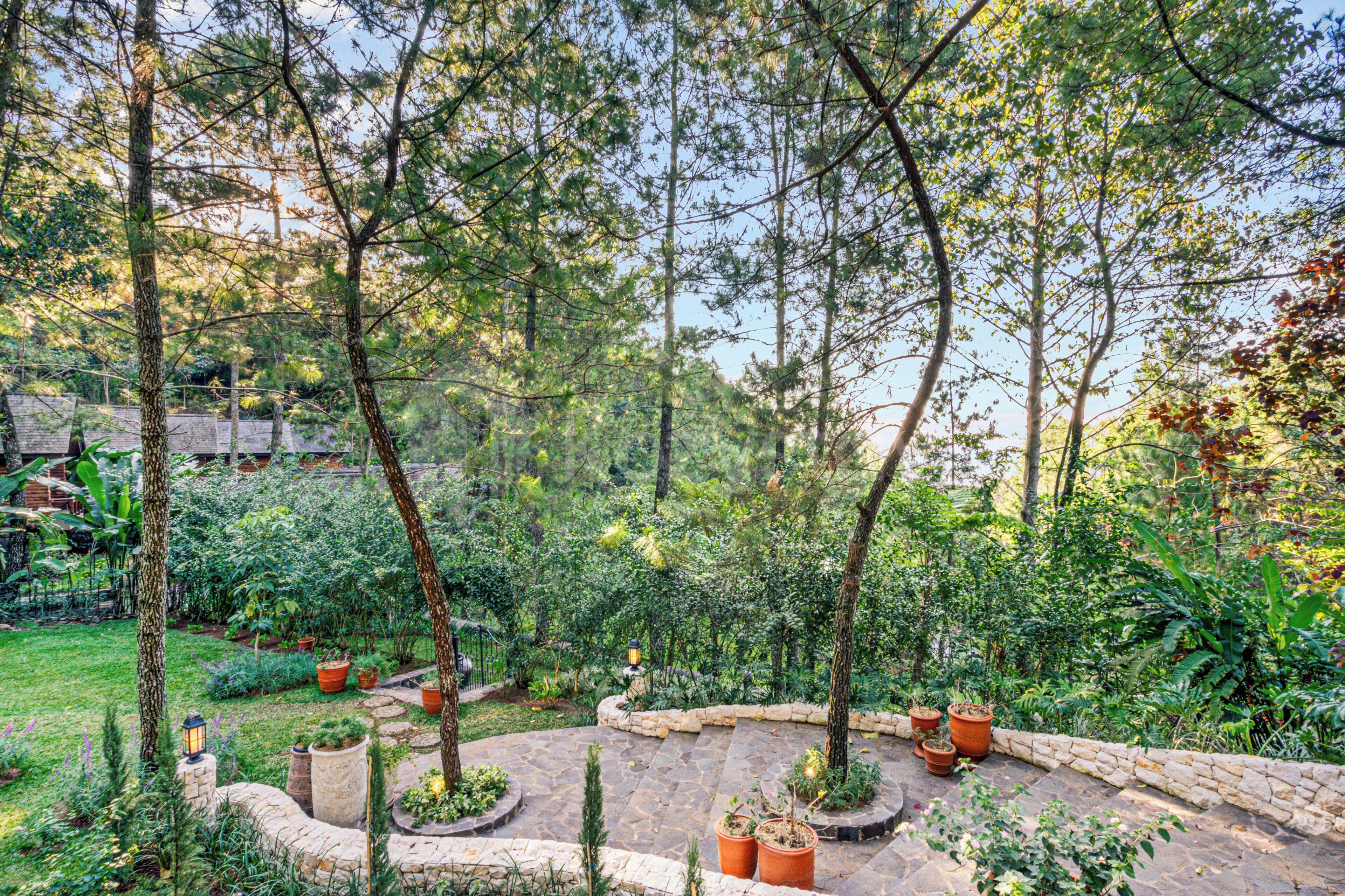 A garden with stone pathways, potted plants, and trees.
