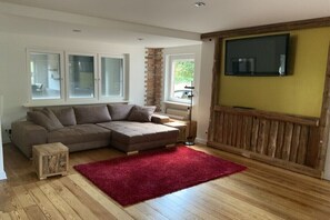 Fernseher