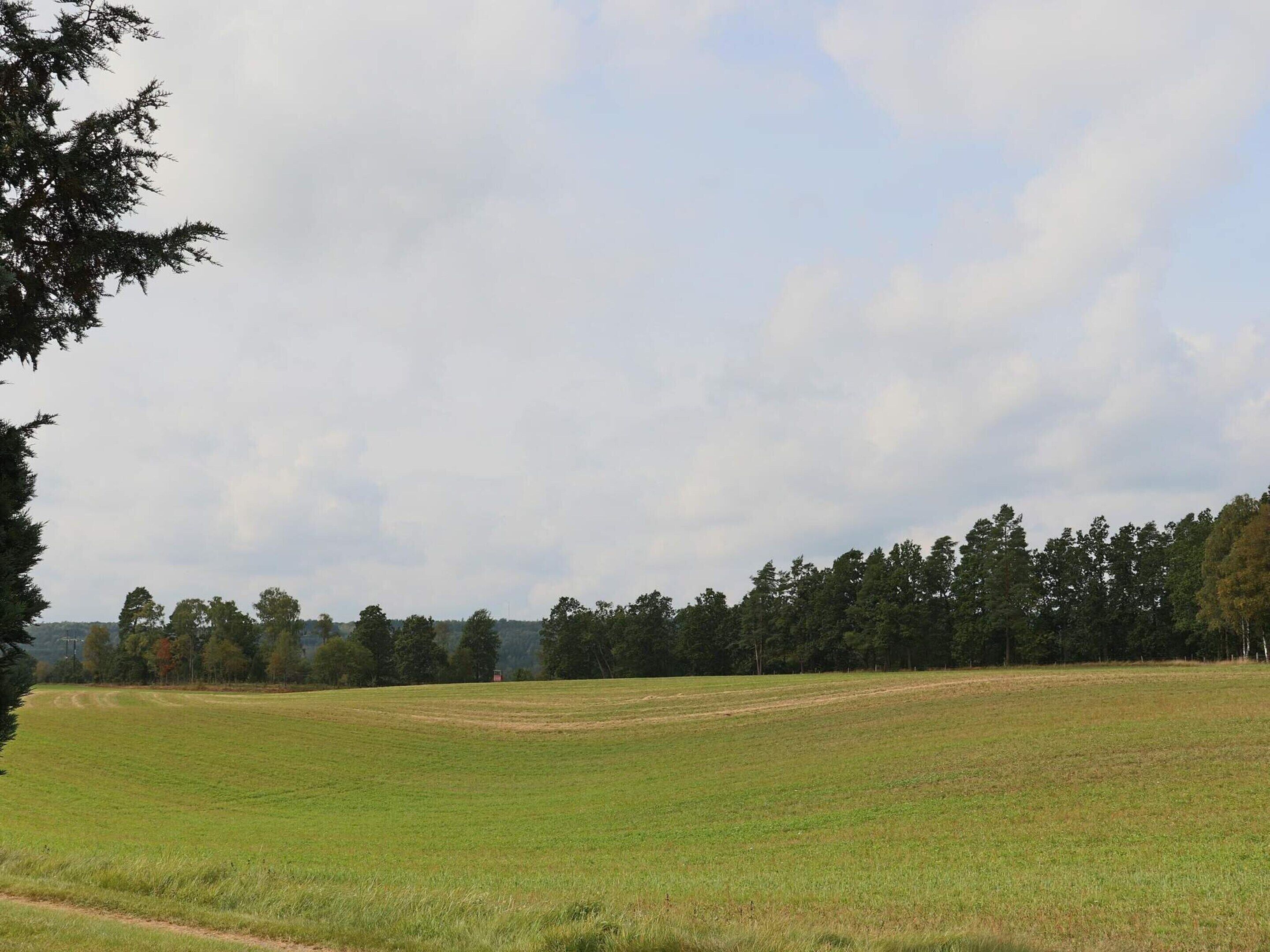 A wide, open field with a line of trees in the distance and a cloudy sky.
