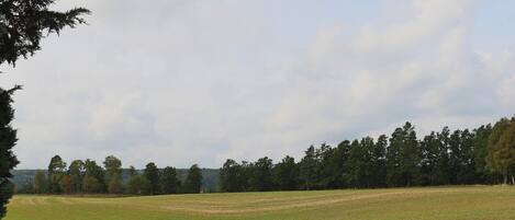 A wide, open field with a line of trees in the distance and a cloudy sky.
