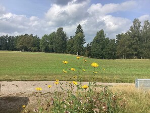Un champ verdoyant parsemé de fleurs jaunes, avec des arbres en arrière-plan.