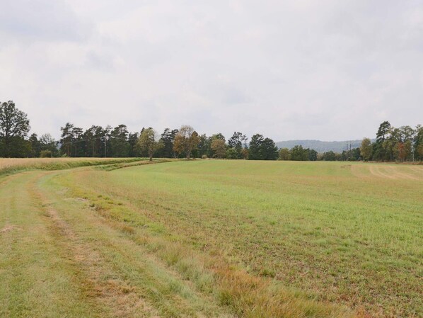 A wide, open field with a curved dirt path leading through it.