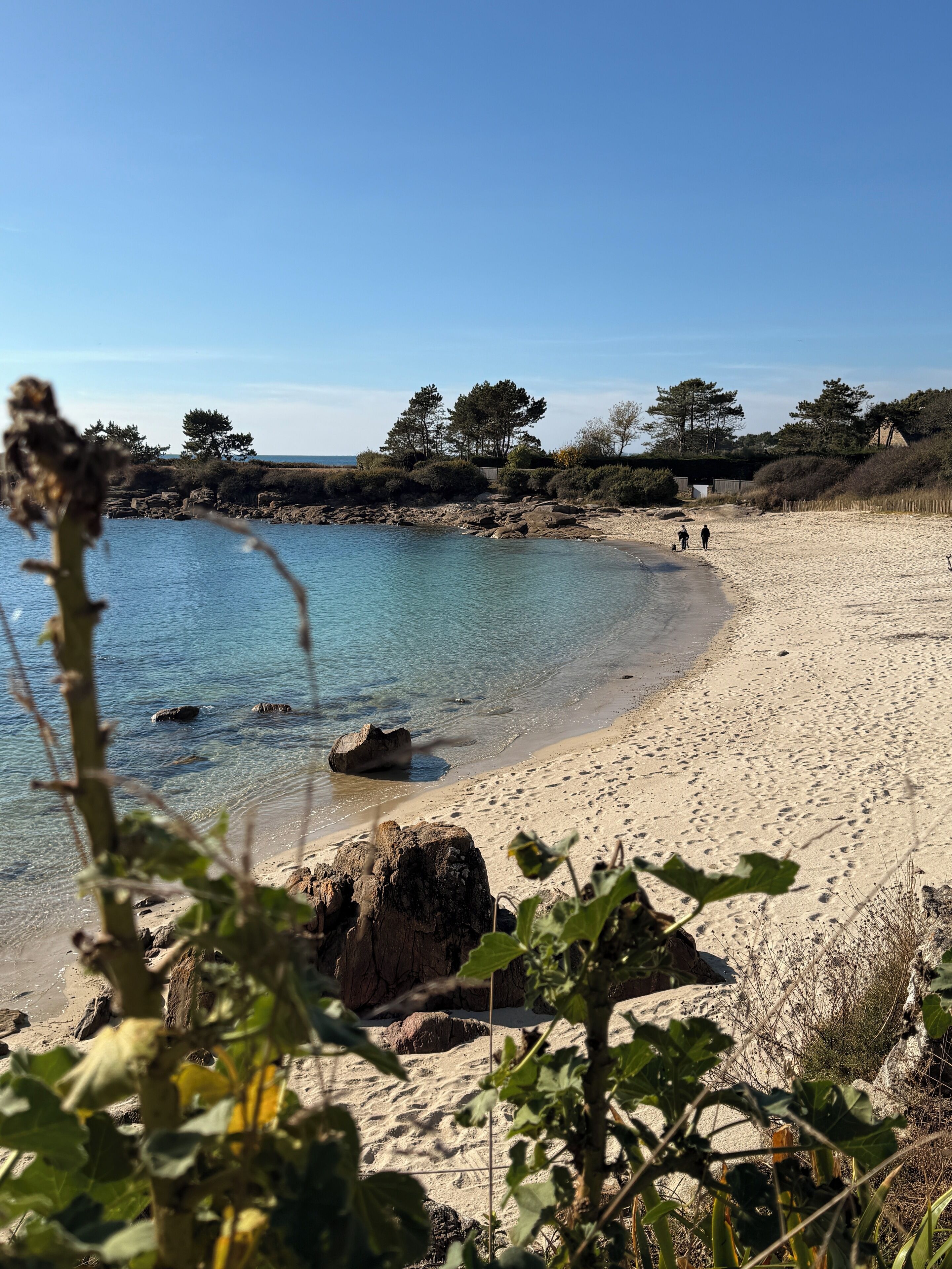 كراسي للتشمس