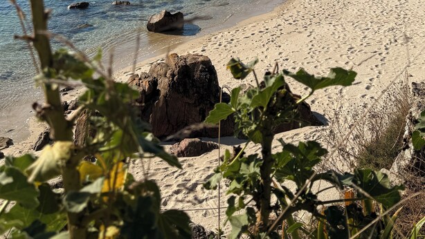 Une plage avec une eau claire, des rochers et de la végétation.