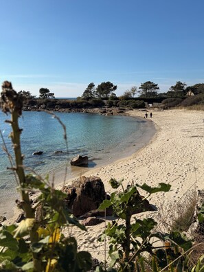 Sun-loungers
