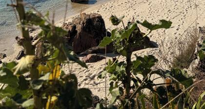 Maison Ă Concarneau Ă 50m de la plage des Bouchers au Cabellou et du GR34