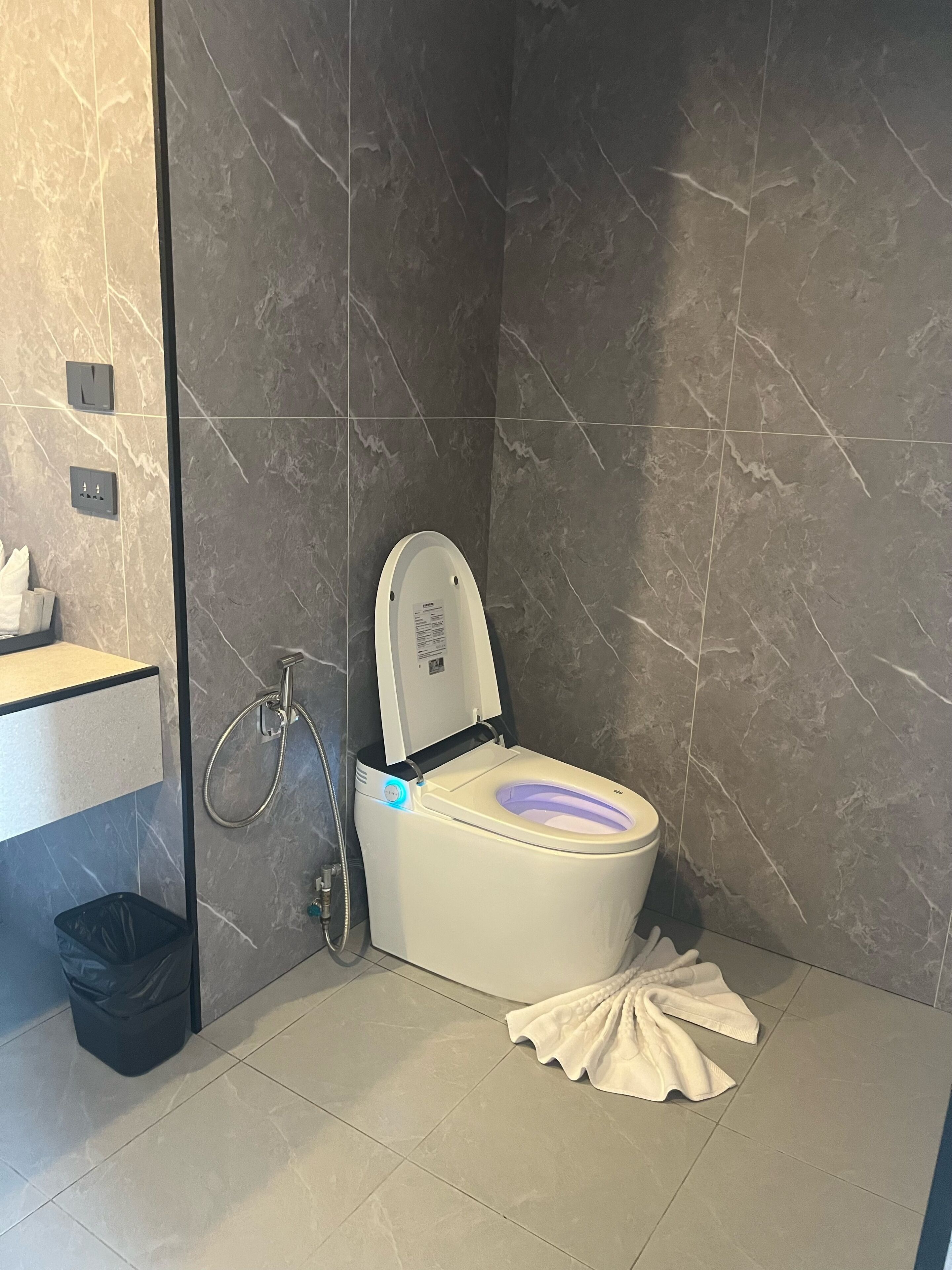 华丽双人房或双床房 | 浴室 | 免费洗浴用品、吹风机、毛巾、肥皂