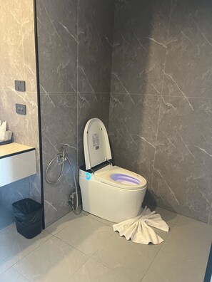 Deluxe Double or Twin Room | Bathroom