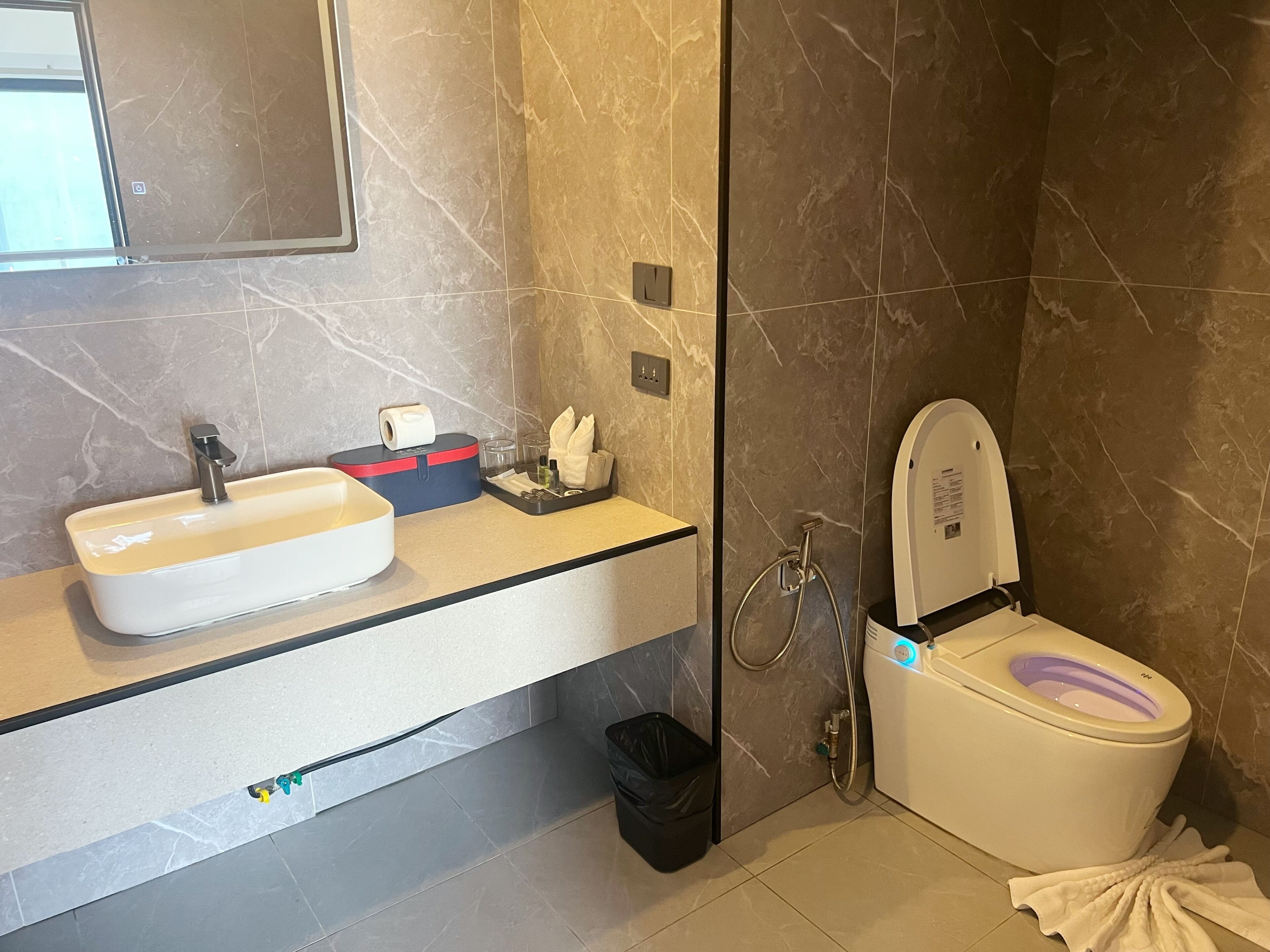 Une salle de bain moderne équipée d’un lavabo, de toilettes et d’une douche.