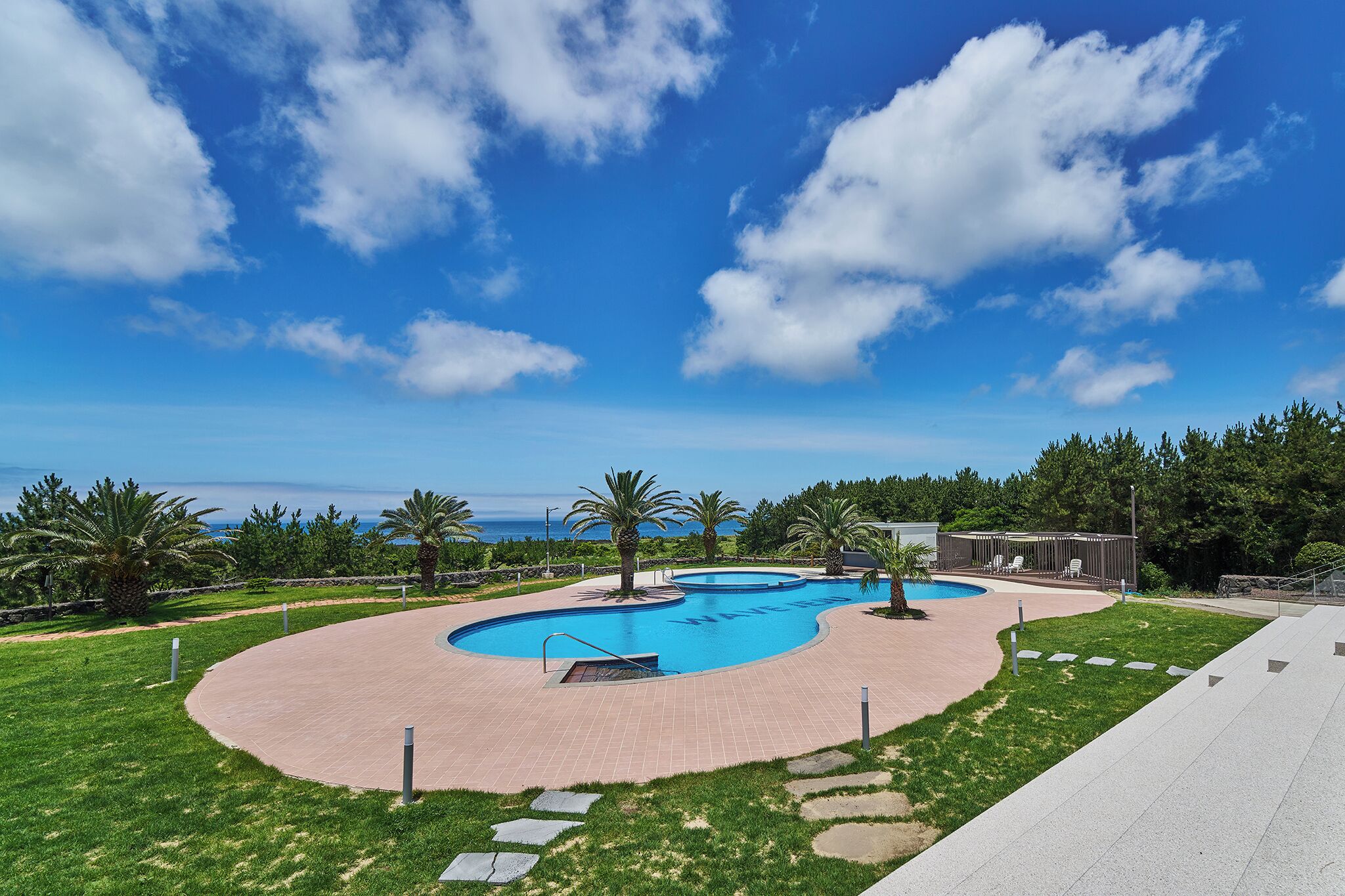 A swimming pool with a curved design, surrounded by a brick walkway, palm trees, and a view of the ocean.