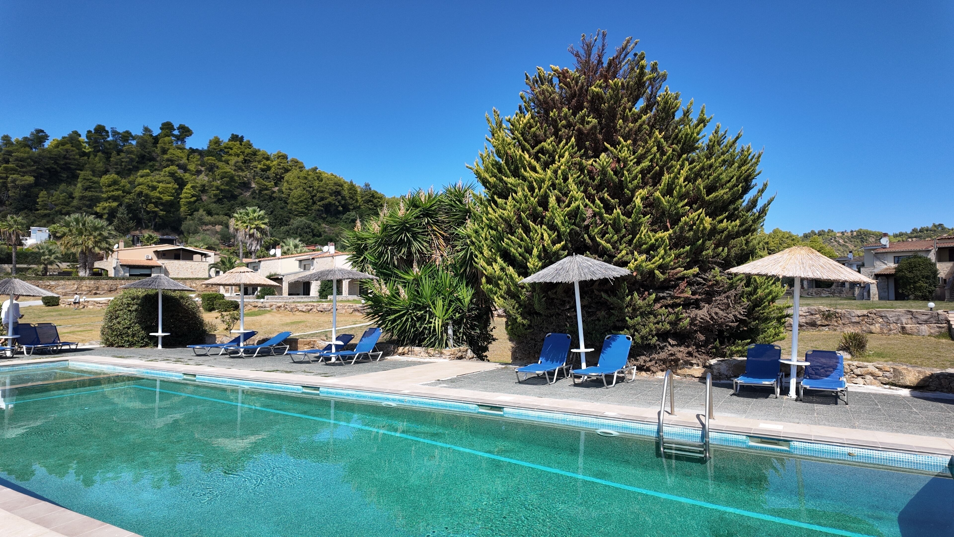 Un área de piscina con sillas de descanso, sombrillas y un gran árbol.
