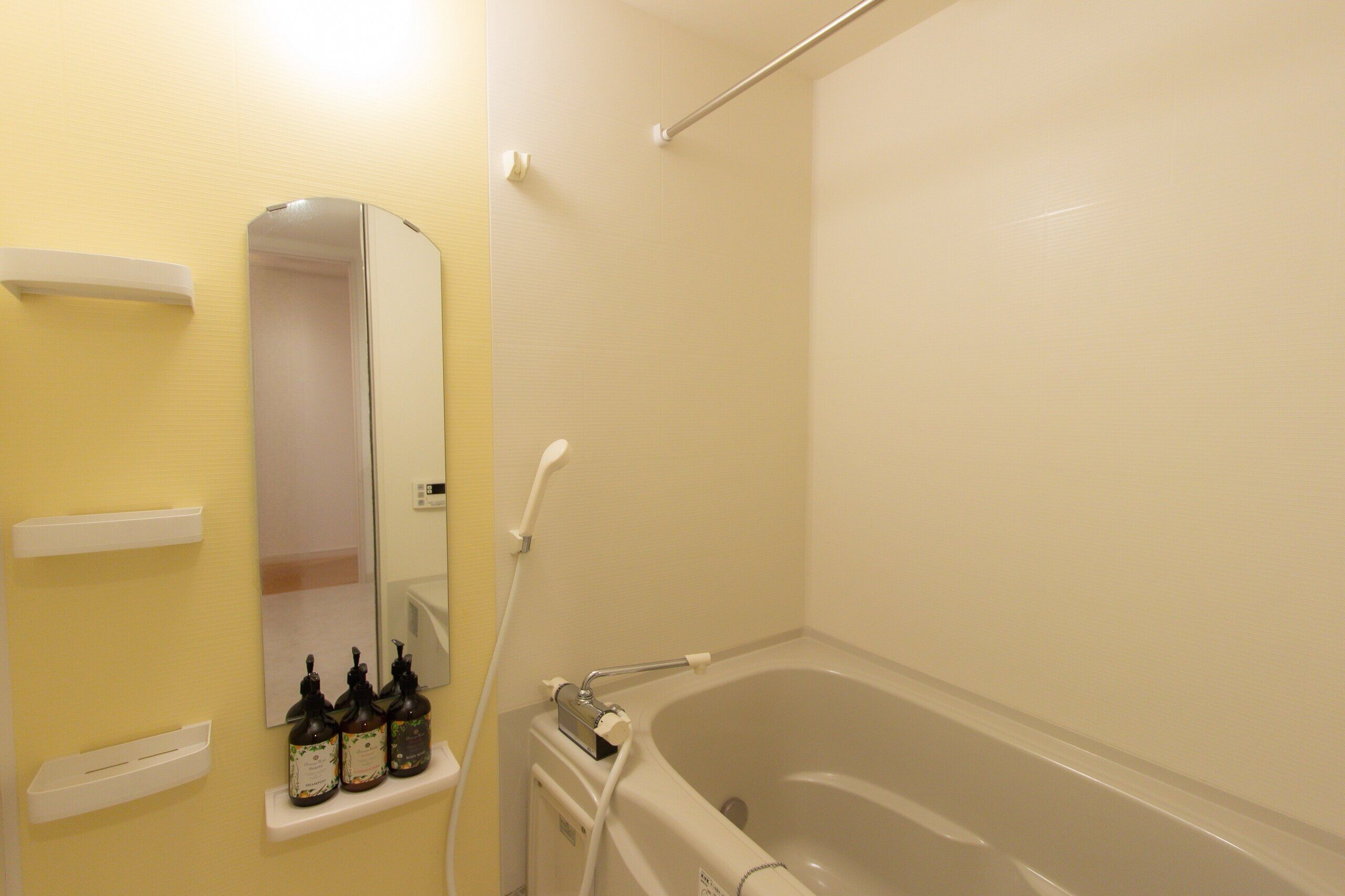 Superior Apartment | Bathroom