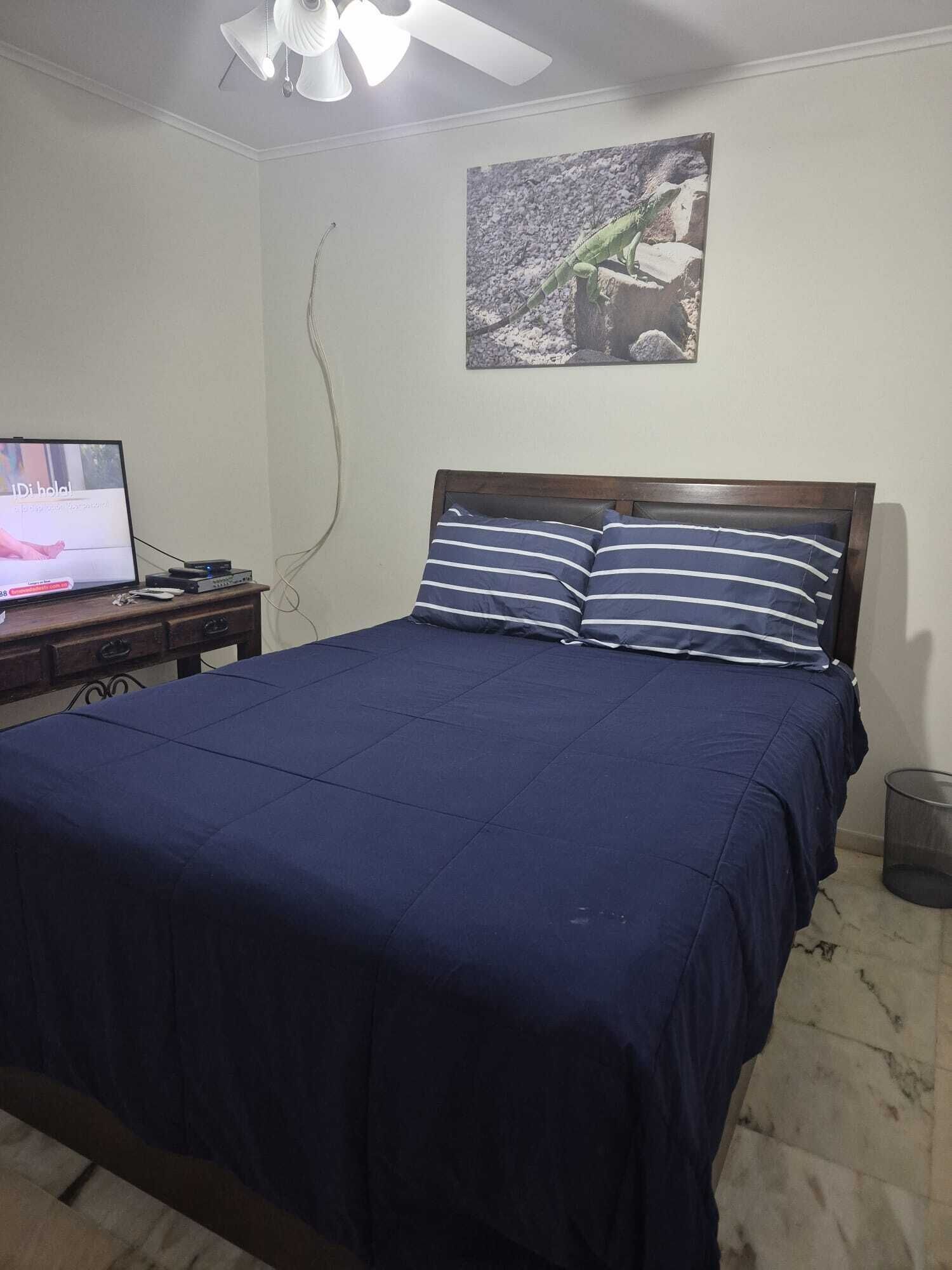 A bedroom with a bed, a television, a ceiling fan, and a painting on the wall.