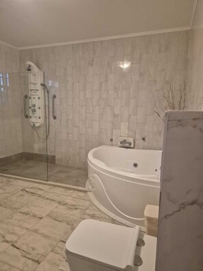 Shower, hair dryer, towels, toilet paper