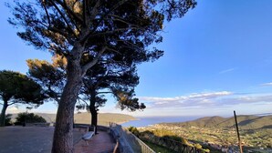 A paved walkway with a railing, a large tree, and a view of a coastal town.