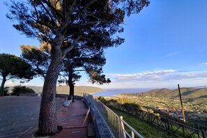 A paved walkway with a railing, a large tree, and a view of a coastal town.