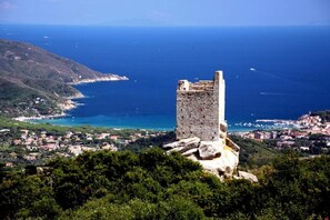 Unclassified image, 2 of 22, button