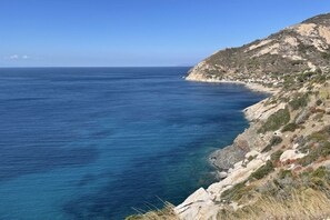 Unclassified image, 4 of 22, button