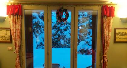 Apartment in chalet with private garden a stone's throw from the ski slopes