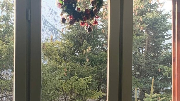 En vy genom en glasdörr, med ett snötäckt landskap och vintergröna träd i bakgrunden.