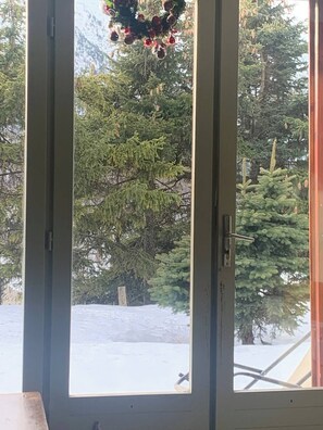 A view through a glass door with a snow-covered ground and evergreen trees in the background.