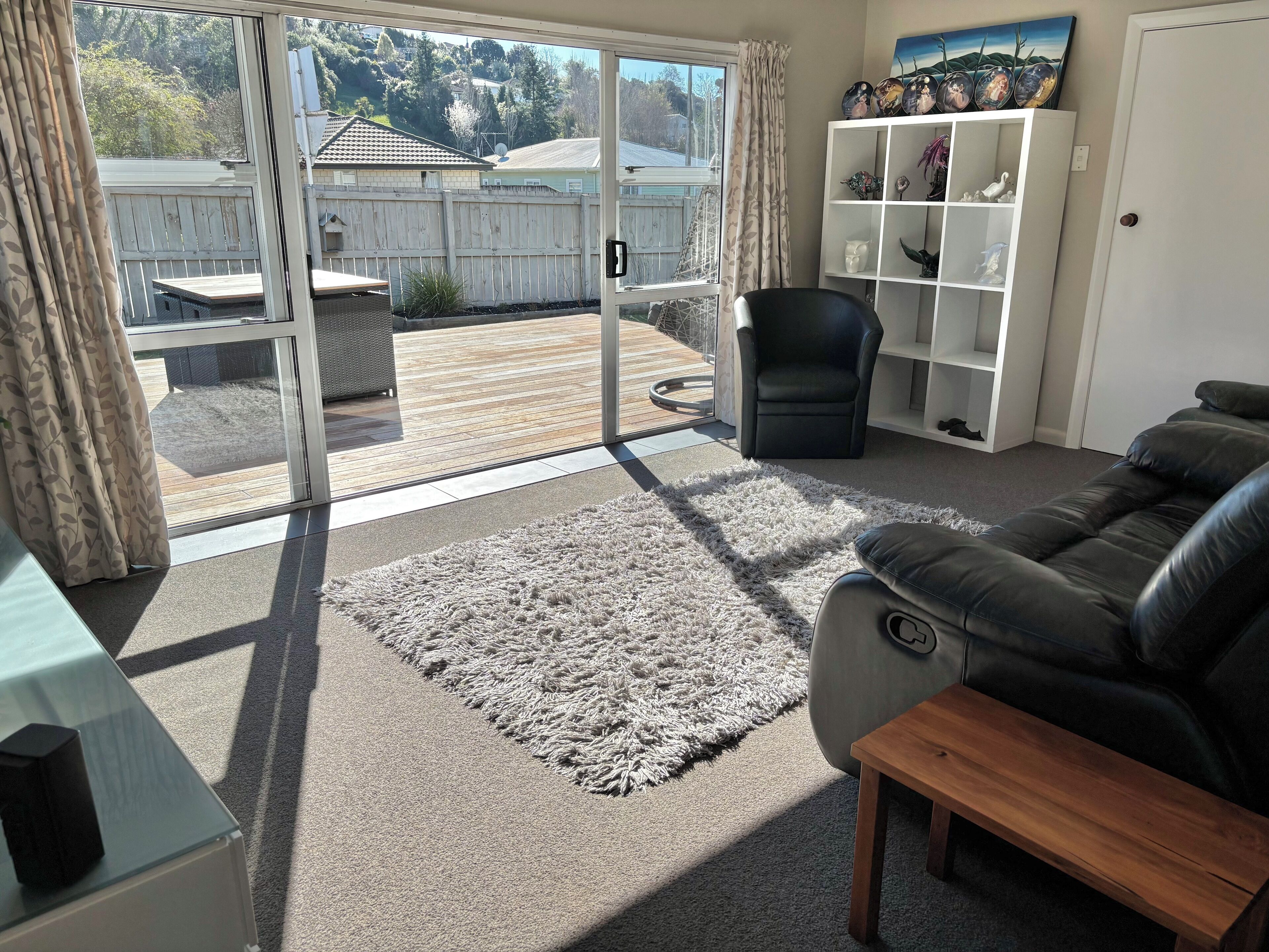 Smart TV, DVD player, books, video library