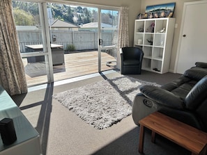 Smart TV, DVD player, books, video library