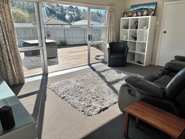 Smart TV, DVD player, books, video library