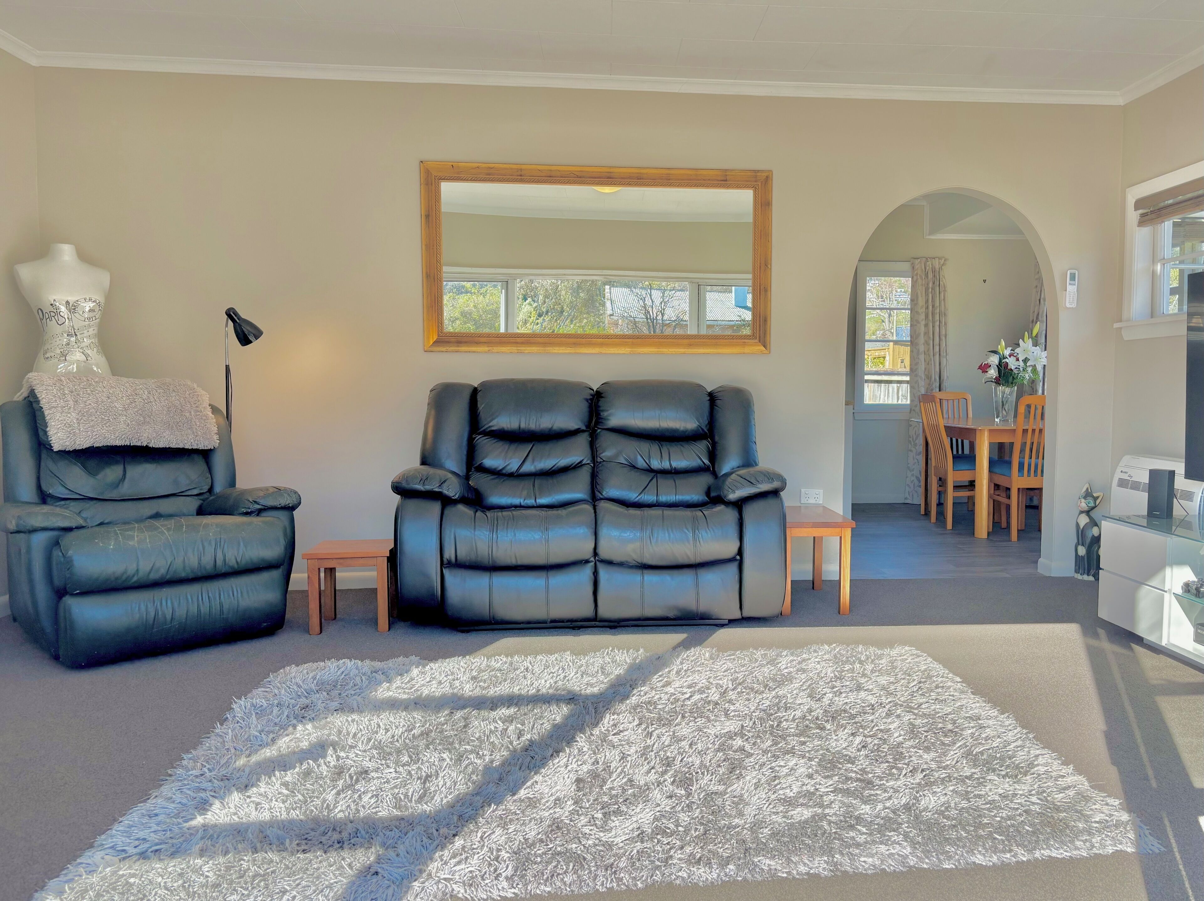 Smart TV, DVD player, books, video library