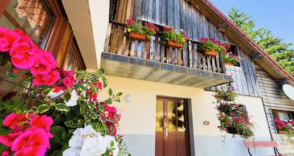 GĂźte l'Essentiel, gĂźte de groupe Ă la ferme avec spa et sauna, aire de jeux