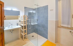 Shower, hair dryer