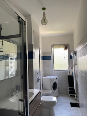 Shower, hair dryer, bidet, towels